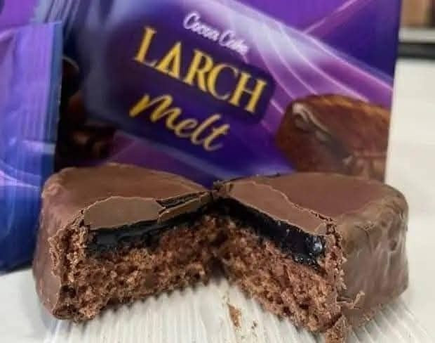 🍫 Larch Melt Cake – Cocoa with Chocolate Sauce